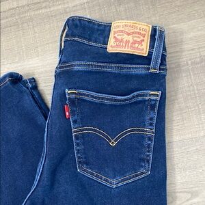 Levi's Blue Denim Jeans